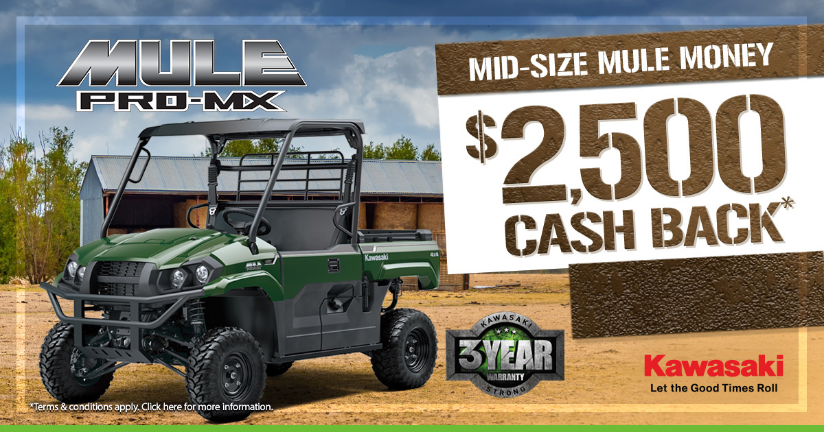 MID-SIZE MULE MONEY+