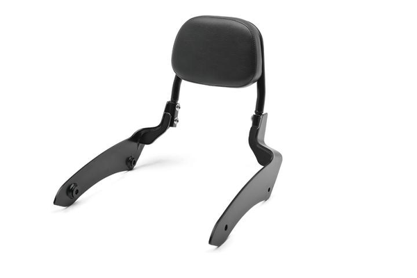 Fixed Passenger Backrest